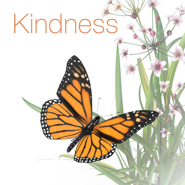 kindness image - butterfly