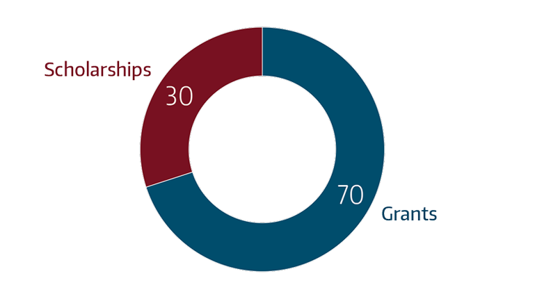 Grants=70%, Scholarships=30%