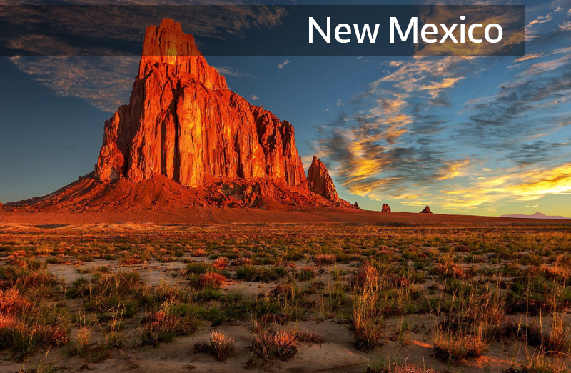 New Mexico